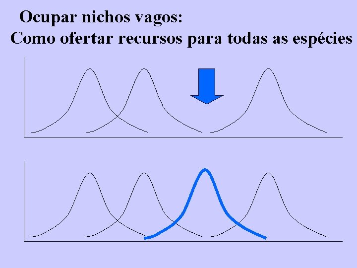Ocupar nichos vagos: Como ofertar recursos para todas as espécies 