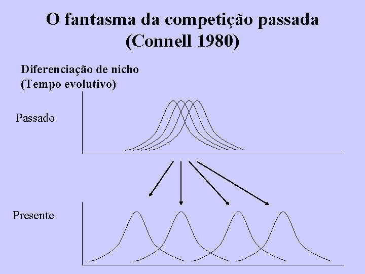 O fantasma da competição passada (Connell 1980) Diferenciação de nicho (Tempo evolutivo) Passado Presente