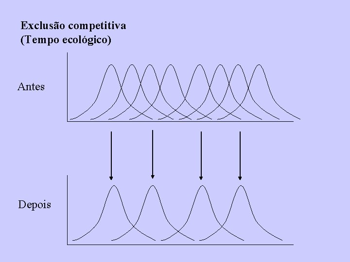 Exclusão competitiva (Tempo ecológico) Antes Depois 