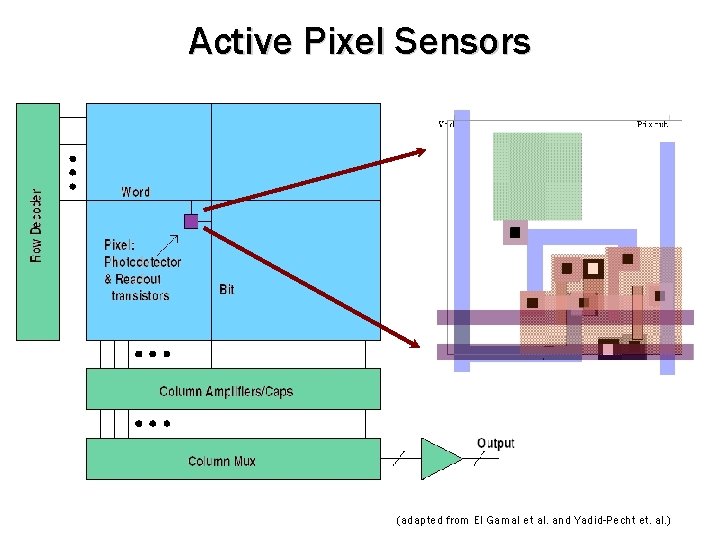 Active Pixel Sensors (adapted from El Gamal et al. and Yadid-Pecht et. al. ) Active Pixel Sensors (adapted from El Gamal et al. and Yadid-Pecht et. al. )