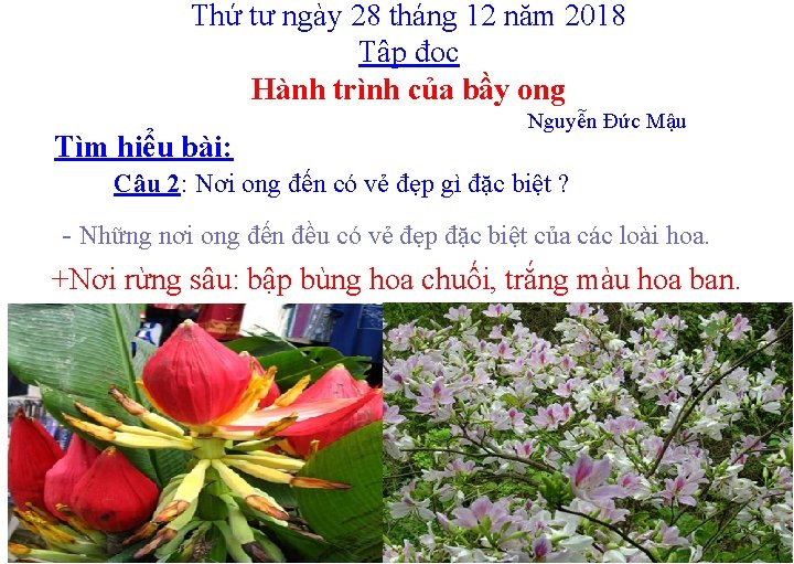 Thứ tư ngày 28 tháng 12 năm 2018 Tập đọc Hành trình của bầy