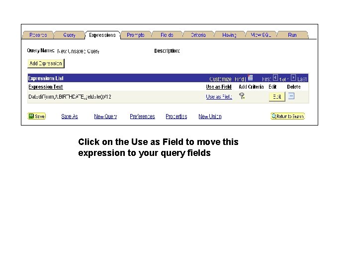 Click on the Use as Field to move this expression to your query fields