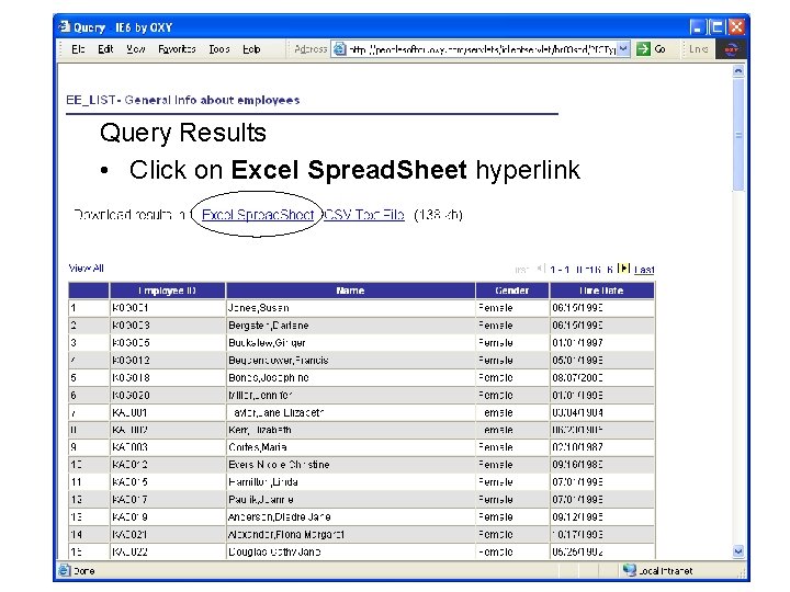 Query Results • Click on Excel Spread. Sheet hyperlink 