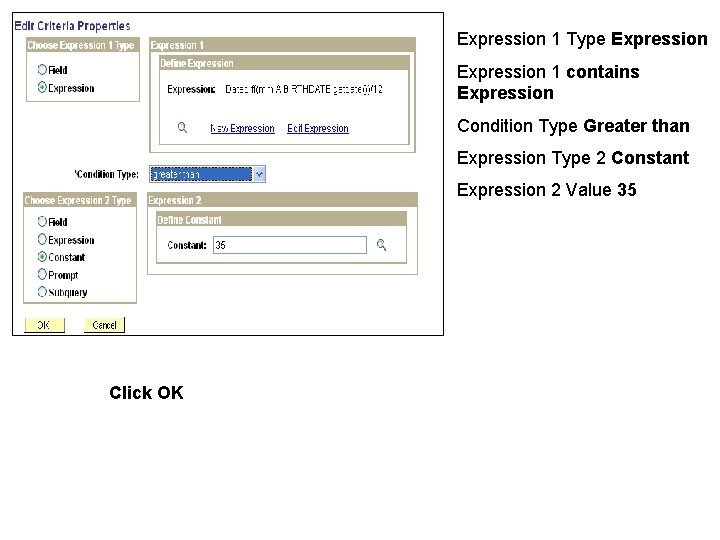 Expression 1 Type Expression 1 contains Expression Condition Type Greater than Expression Type 2