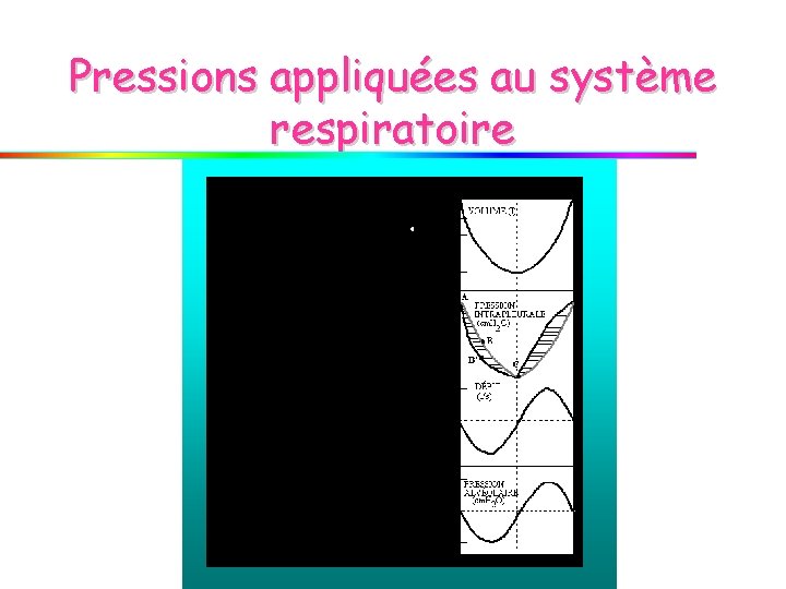 Pressions appliquées au système respiratoire Pressions appliquées au système respiratoire