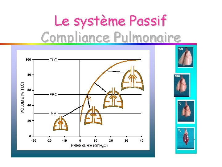 Le système Passif Compliance Pulmonaire Le système Passif Compliance Pulmonaire