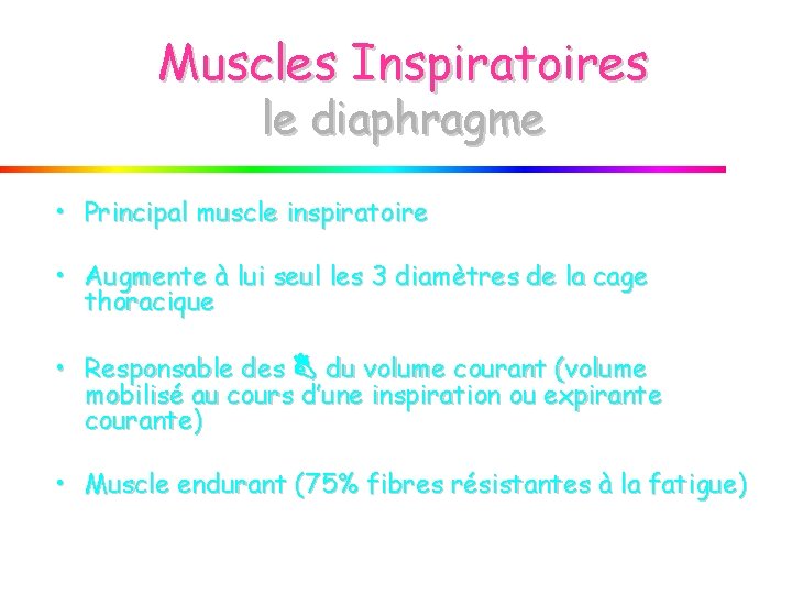 Muscles Inspiratoires le diaphragme • Principal muscle inspiratoire • Augmente à lui seul les Muscles Inspiratoires le diaphragme • Principal muscle inspiratoire • Augmente à lui seul les