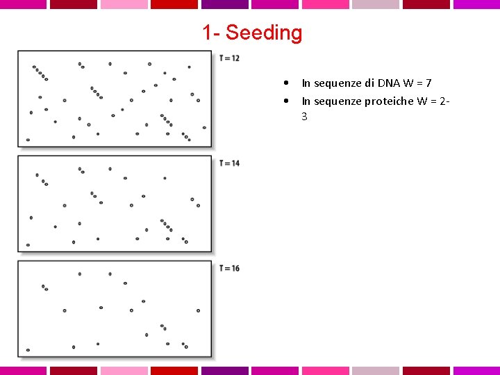 1 - Seeding • In sequenze di DNA W = 7 • In sequenze