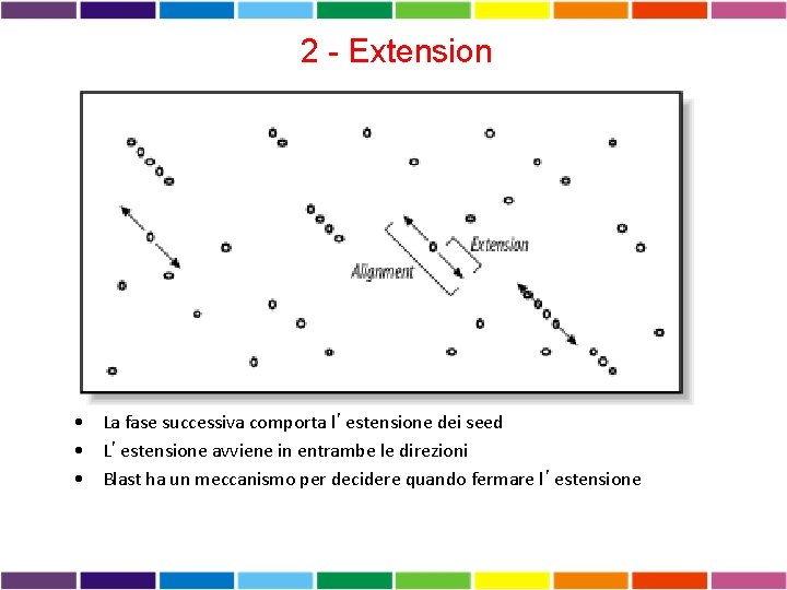 2 - Extension • La fase successiva comporta l’estensione dei seed • L’estensione avviene