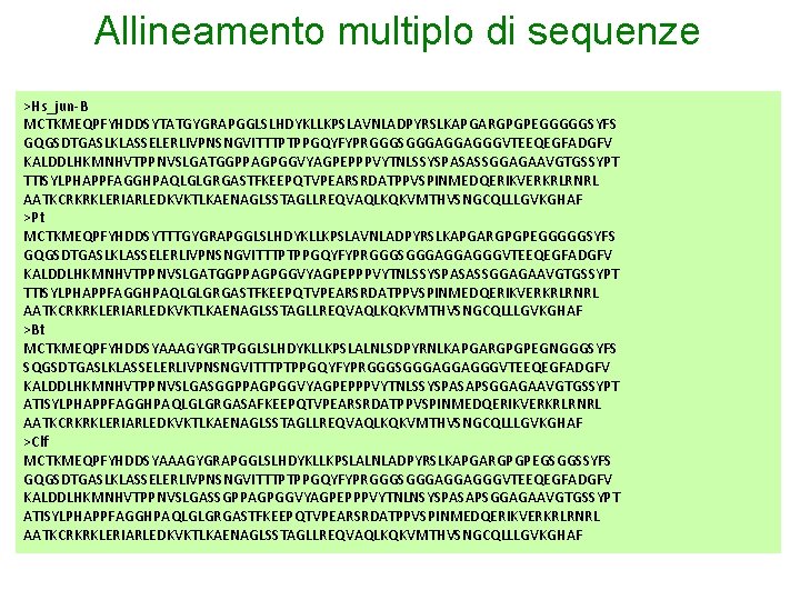 Allineamento multiplo di sequenze >Hs_jun-B MCTKMEQPFYHDDSYTATGYGRAPGGLSLHDYKLLKPSLAVNLADPYRSLKAPGARGPGPEGGGGGSYFS GQGSDTGASLKLASSELERLIVPNSNGVITTTPTPPGQYFYPRGGGSGGGAGGAGGGVTEEQEGFADGFV KALDDLHKMNHVTPPNVSLGATGGPPAGPGGVYAGPEPPPVYTNLSSYSPASASSGGAGAAVGTGSSYPT TTISYLPHAPPFAGGHPAQLGLGRGASTFKEEPQTVPEARSRDATPPVSPINMEDQERIKVERKRLRNRL AATKCRKRKLERIARLEDKVKTLKAENAGLSSTAGLLREQVAQLKQKVMTHVSNGCQLLLGVKGHAF >Pt MCTKMEQPFYHDDSYTTTGYGRAPGGLSLHDYKLLKPSLAVNLADPYRSLKAPGARGPGPEGGGGGSYFS GQGSDTGASLKLASSELERLIVPNSNGVITTTPTPPGQYFYPRGGGSGGGAGGAGGGVTEEQEGFADGFV KALDDLHKMNHVTPPNVSLGATGGPPAGPGGVYAGPEPPPVYTNLSSYSPASASSGGAGAAVGTGSSYPT