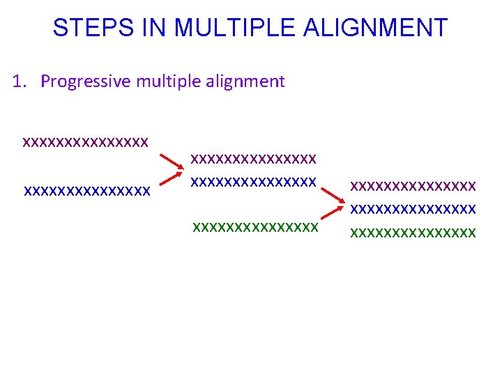 STEPS IN MULTIPLE ALIGNMENT 1. Progressive multiple alignment xxxxxxxxxxxxxxx xxxxxxxxxxxxxxx 