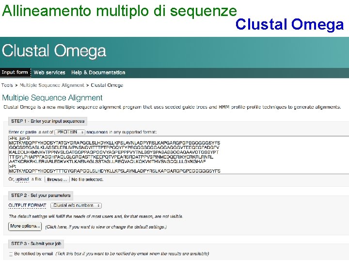 Allineamento multiplo di sequenze Clustal Omega 