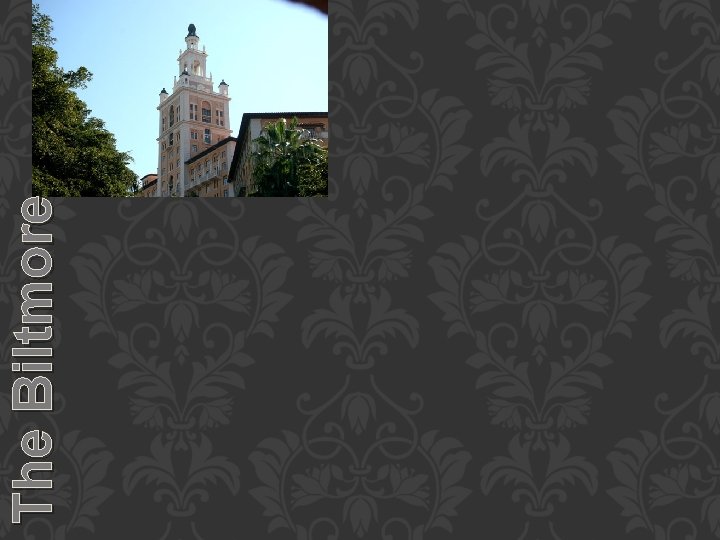 The Biltmore The Biltmore