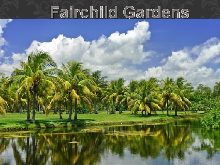 Fairchild Gardens Fairchild Gardens