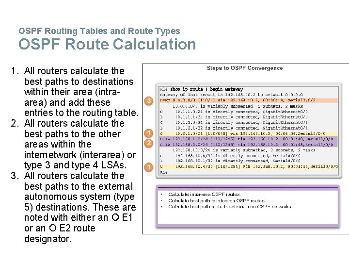 OSPF Routing Tables and Route Types OSPF Route Calculation 1. All routers calculate the