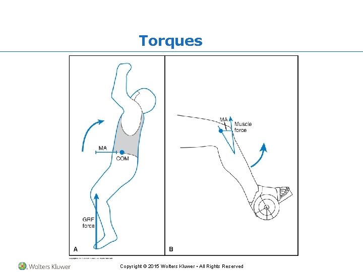 Torques Copyright © 2015 Wolters Kluwer • All Rights Reserved 