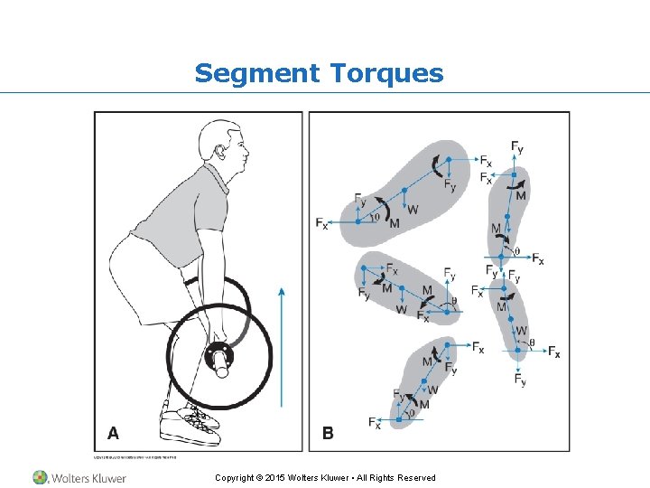 Segment Torques Copyright © 2015 Wolters Kluwer • All Rights Reserved 
