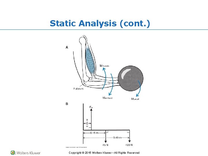 Static Analysis (cont. ) Copyright © 2015 Wolters Kluwer • All Rights Reserved 