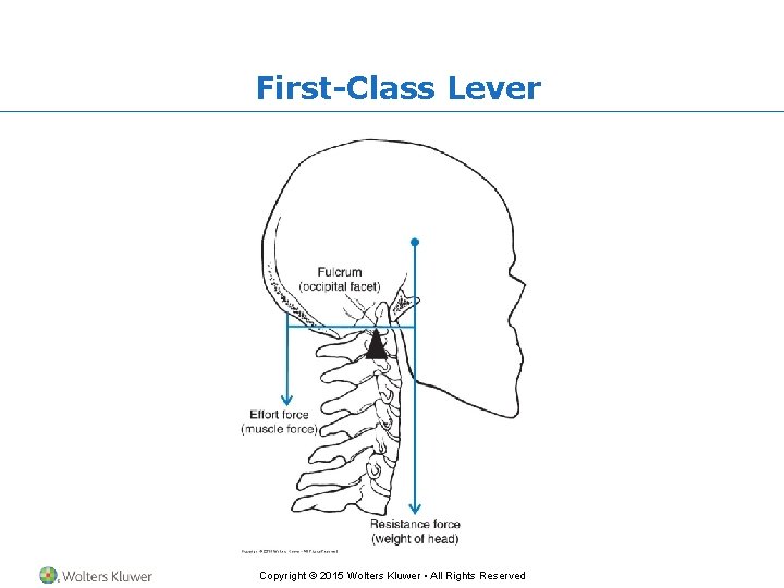 First-Class Lever Copyright © 2015 Wolters Kluwer • All Rights Reserved 