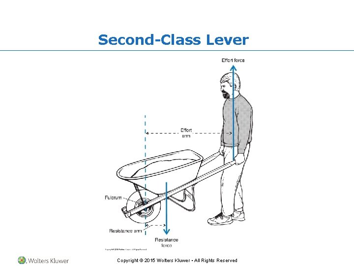 Second-Class Lever Copyright © 2015 Wolters Kluwer • All Rights Reserved 