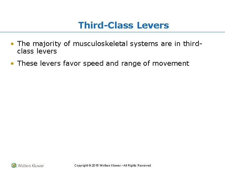 Third-Class Levers • The majority of musculoskeletal systems are in thirdclass levers • These