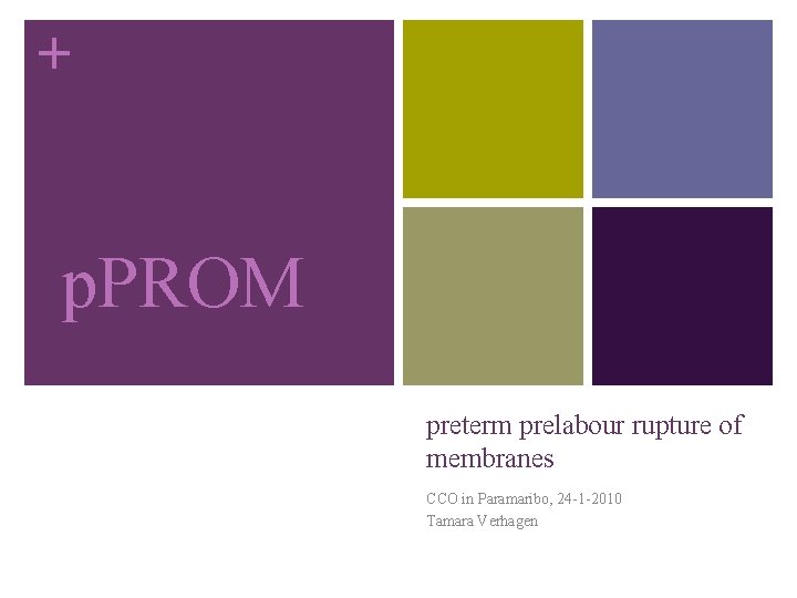 + p. PROM preterm prelabour rupture of membranes CCO in Paramaribo, 24 -1 -2010