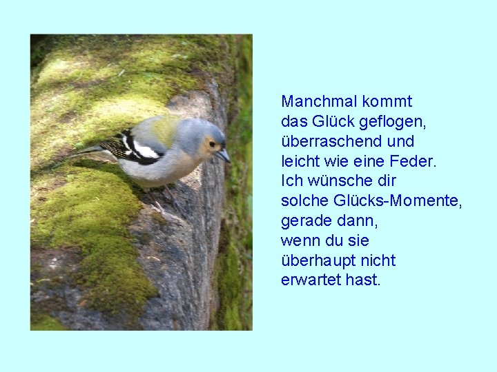 Manchmal kommt das Glück geflogen, überraschend und leicht wie eine Feder. Ich wünsche dir