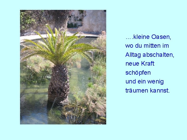 …. kleine Oasen, wo du mitten im Alltag abschalten, neue Kraft schöpfen und ein