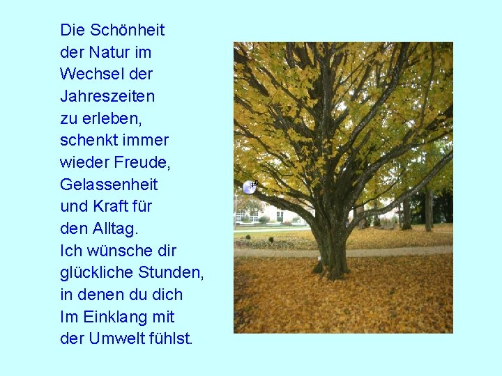 Die Schönheit der Natur im Wechsel der Jahreszeiten zu erleben, schenkt immer wieder Freude,