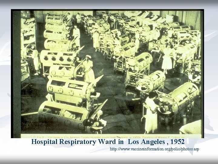 Hospital Respiratory Ward in Los Angeles , 1952 http: //www. vaccineinformation. org/polio/photos. asp 