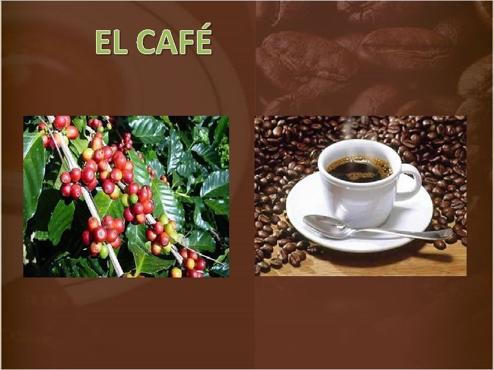 EL CAFÉ 