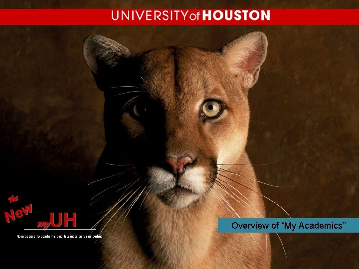 The w e N ________ my. UH Your access to academic and business services The w e N ________ my. UH Your access to academic and business services
