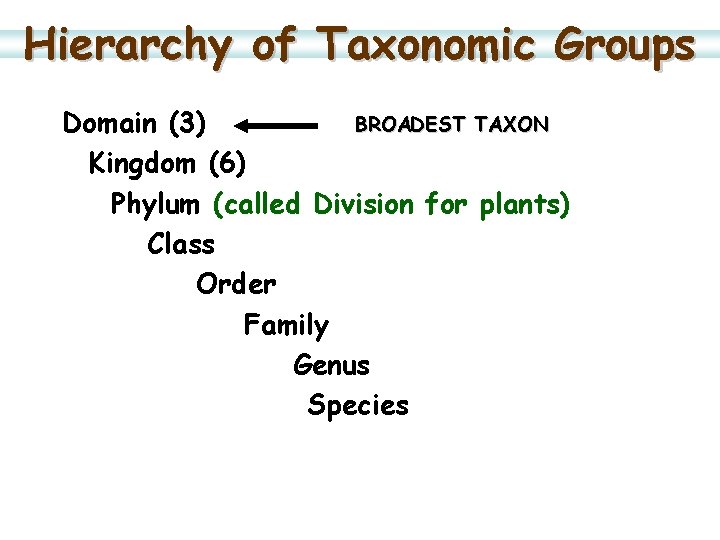 Hierarchy of Taxonomic Groups BROADEST TAXON Domain (3) Kingdom (6) Phylum (called Division for