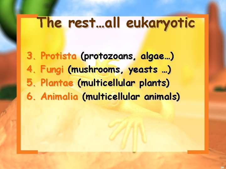 The rest…all eukaryotic 3. 4. 5. 6. Protista (protozoans, algae…) Fungi (mushrooms, yeasts …)