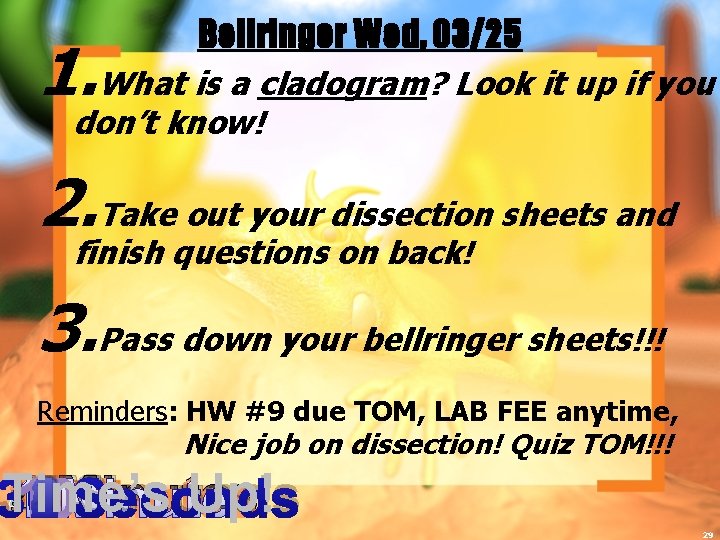 Bellringer Wed, 03/25 1. What is a cladogram? Look it up if you don’t