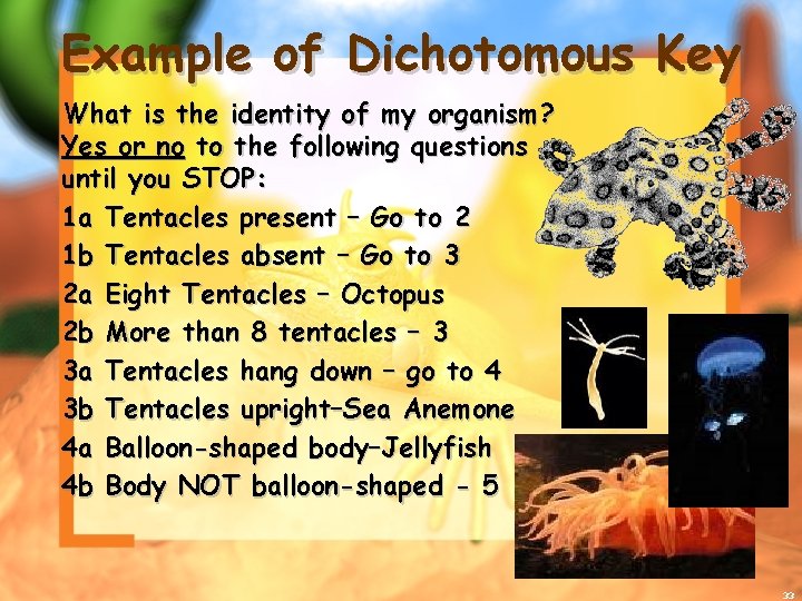 Example of Dichotomous Key What is the identity of my organism? Yes or no