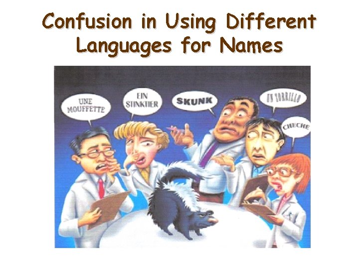 Confusion in Using Different Languages for Names 6 