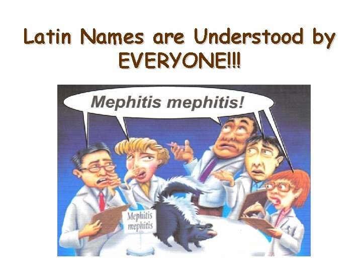 Latin Names are Understood by EVERYONE!!! 7 