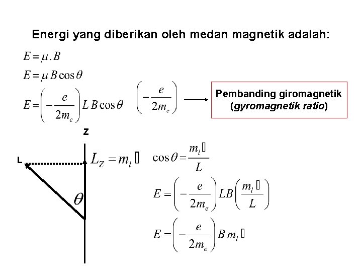 Energi yang diberikan oleh medan magnetik adalah: Pembanding giromagnetik (gyromagnetik ratio) Z L 