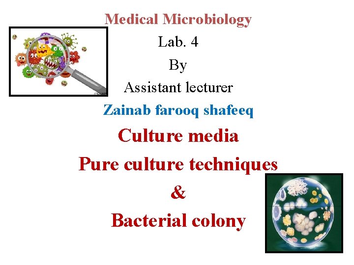 Medical Microbiology Lab. 4 By Assistant lecturer Zainab farooq shafeeq Culture media Pure culture
