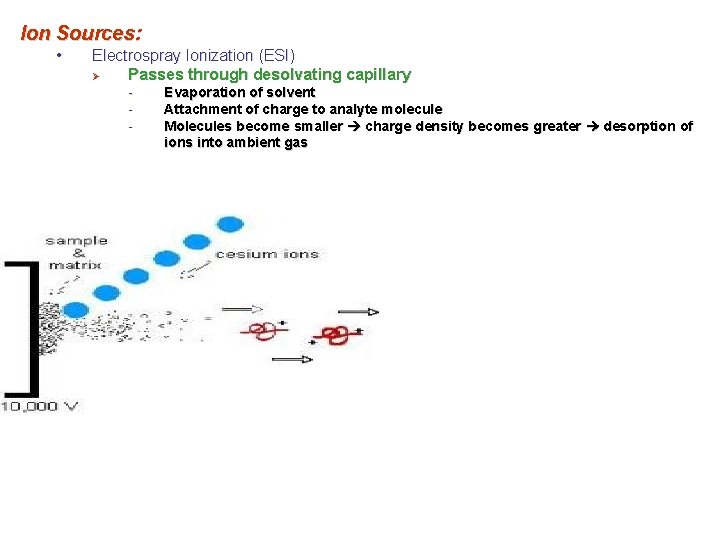 Ion Sources: • Electrospray Ionization (ESI) Ø Passes through desolvating capillary - Evaporation of