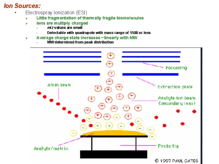 Ion Sources: • Electrospray Ionization (ESI) Ø Ø Little fragmentation of thermally fragile biomolecules