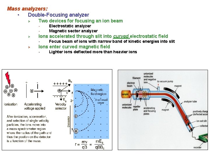 Mass analyzers: • Double-Focusing analyzer Ø Two devices for focusing an ion beam -