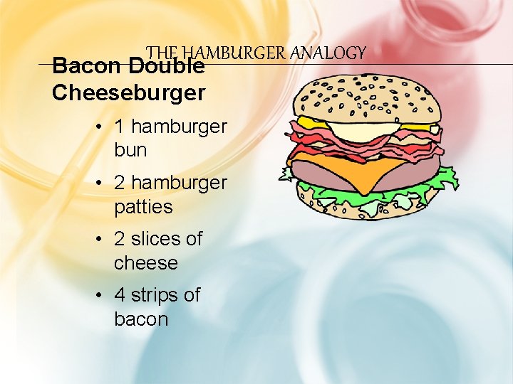 THE HAMBURGER ANALOGY Bacon Double Cheeseburger • 1 hamburger bun • 2 hamburger patties