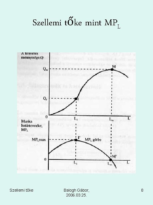 Szellemi tőke mint MPL Szellemi tőke Balogh Gábor, 2006. 03. 25. 8 