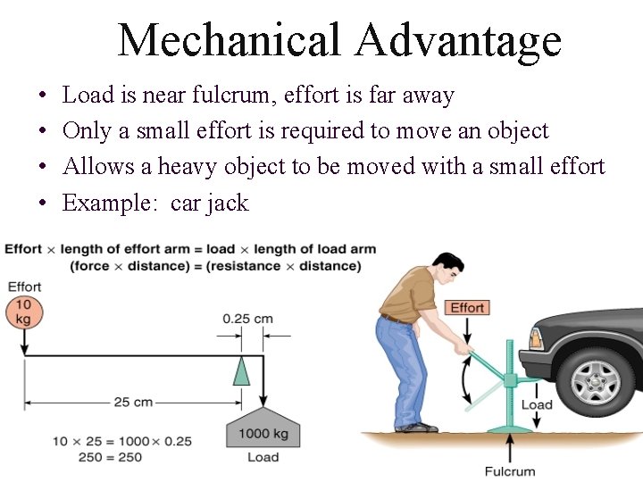 Mechanical Advantage • • Load is near fulcrum, effort is far away Only a