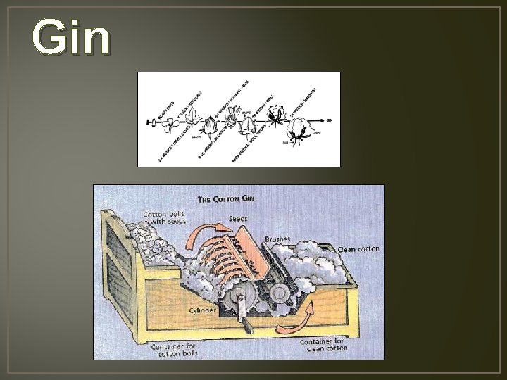 Gin 