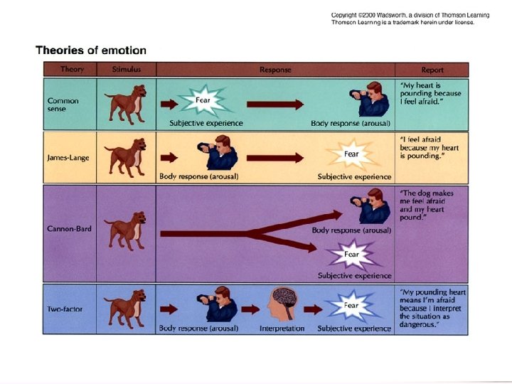 Theories of Emotions: chart 