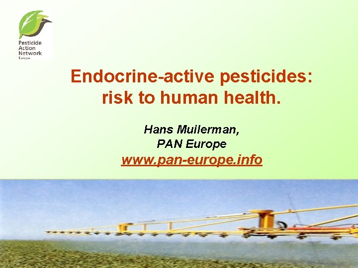 Endocrine-active pesticides: risk to human health. Hans Muilerman, PAN Europe www. pan-europe. info 
