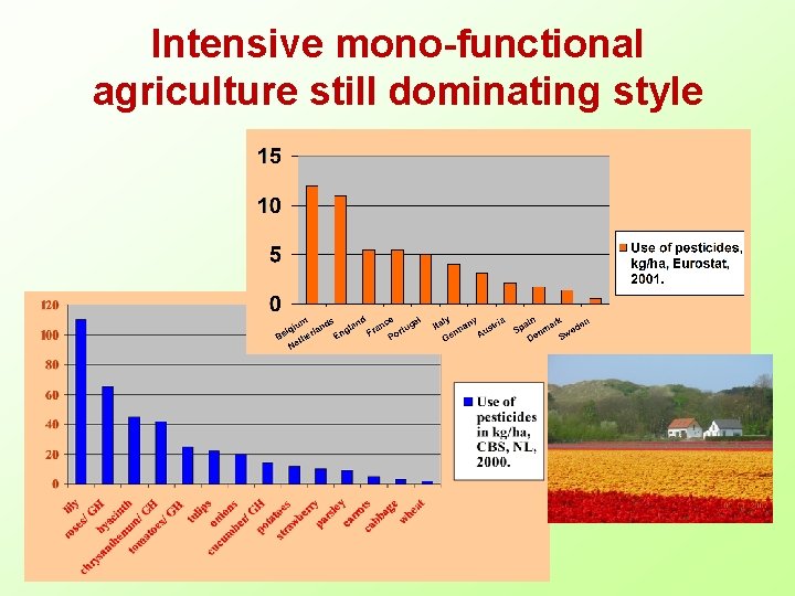 Intensive mono-functional agriculture still dominating style 